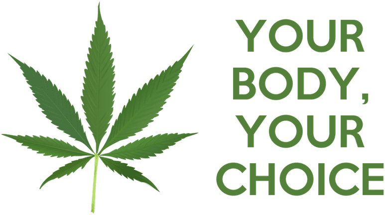 Kush Dispensary How to Choose The Right Cannabis For You