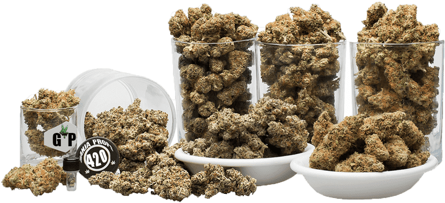 Kush Dispensary Jars of Cannabis Buds